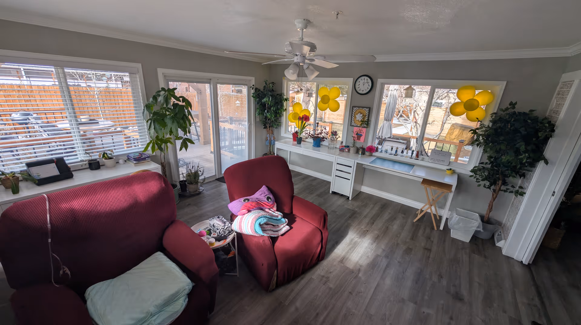 A bright living room with two red armchairs, one with folded blankets on it. Large windows and a sliding glass door let in natural light. A long white desk under the windows holds various plants, decorations, and yellow balloon flowers. There are several potted plants around the room, a ceiling fan with lights, and a clock on the wall.