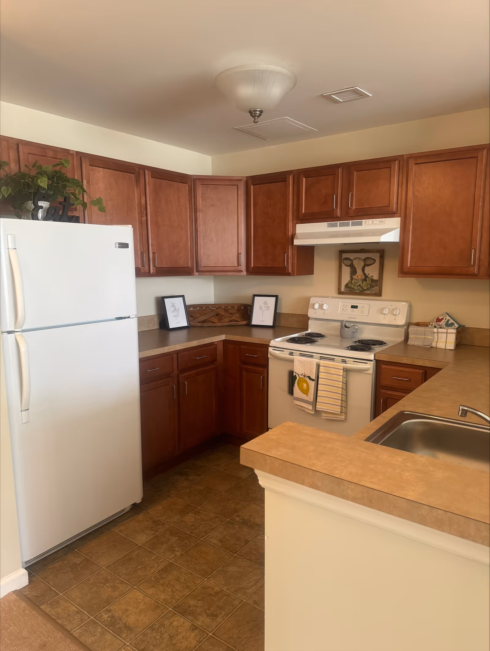 A kitchen with brown wooden cabinets, a white refrigerator, a white electric stove with two dish towels hanging on the handle, a stainless steel sink, and a beige countertop. There are two framed pictures on the countertop and a small framed cow painting on the wall above the stove. A green plant is placed on top of the refrigerator.