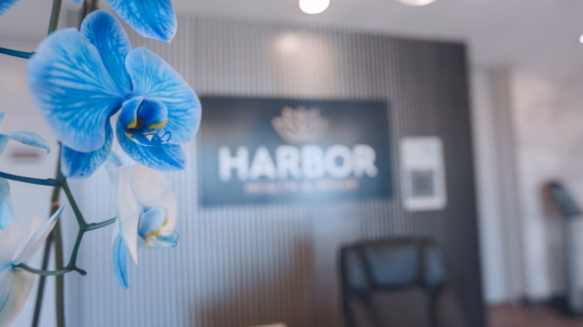 Close-up of blue and white orchid flowers with a blurred background showing a black sign with the text 'HARBOR' and part of an office chair in a modern interior space.