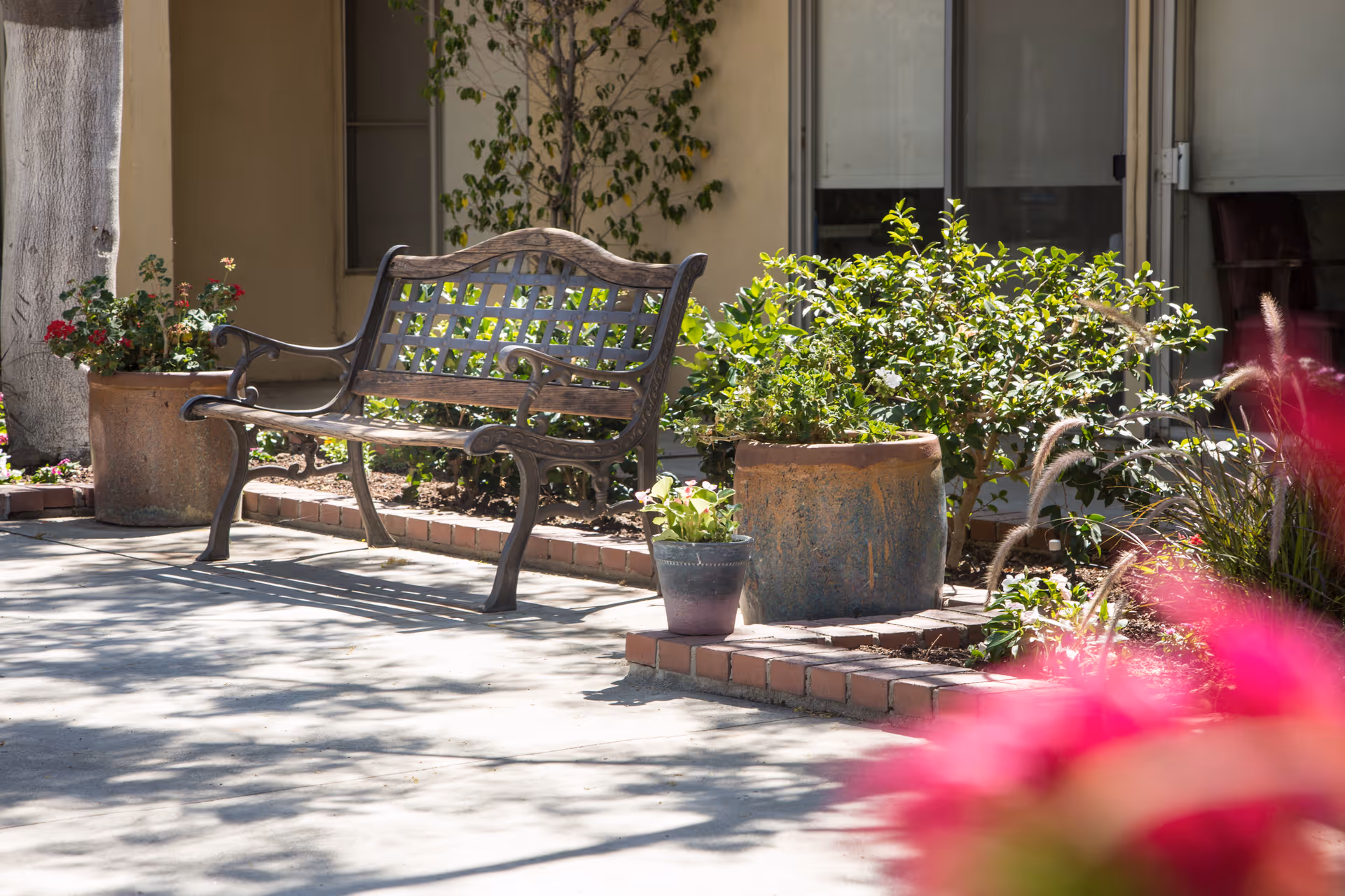 A metal garden bench on a sunny courtyard patio surrounded by potted plants and shrubs in front of a building.