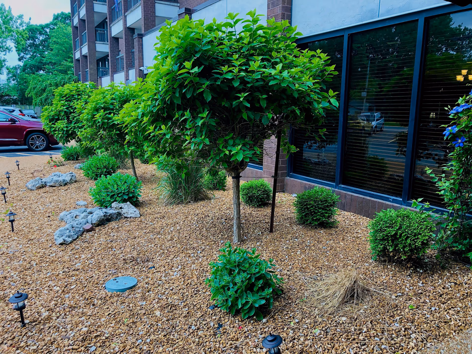A landscaped outdoor area next to a building with several small trees and bushes planted in a bed of brown gravel. There are decorative rocks and small solar garden lights placed throughout the gravel. The building has large windows with blinds, and a red car is parked in the background.