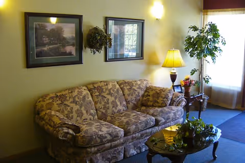 A cozy living room area with a floral-patterned sofa, a glass coffee table with plants on it, a side table with a lamp and flowers, two framed pictures on the wall, and a large window with sheer curtains letting in natural light.