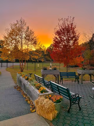 Outdoor seating area at sunset with green benches, flower beds, and autumn trees with colorful leaves. A bale of hay and potted flowers are placed near the benches, and a black metal fence encloses the area.