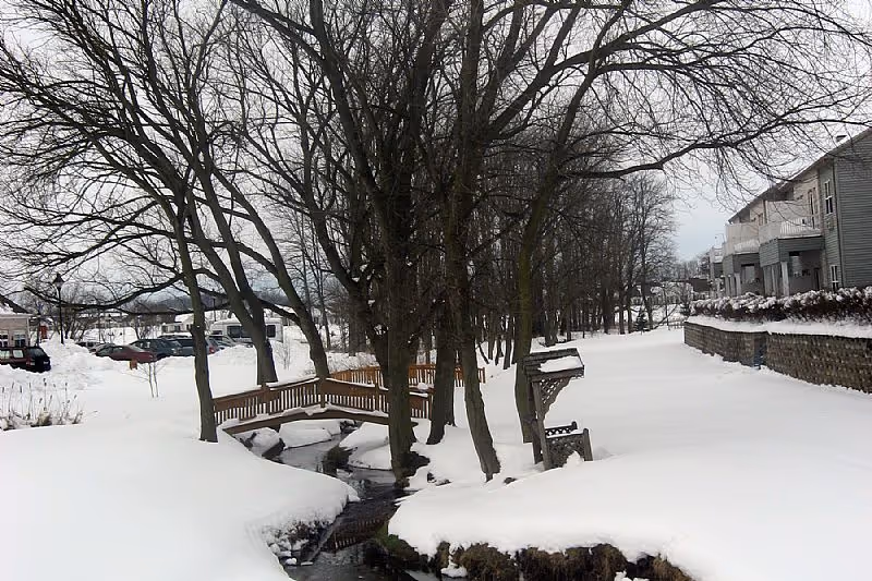 Snow-covered outdoor area with leafless trees, a small wooden bridge over a narrow stream, and residential buildings in the background under a cloudy sky.