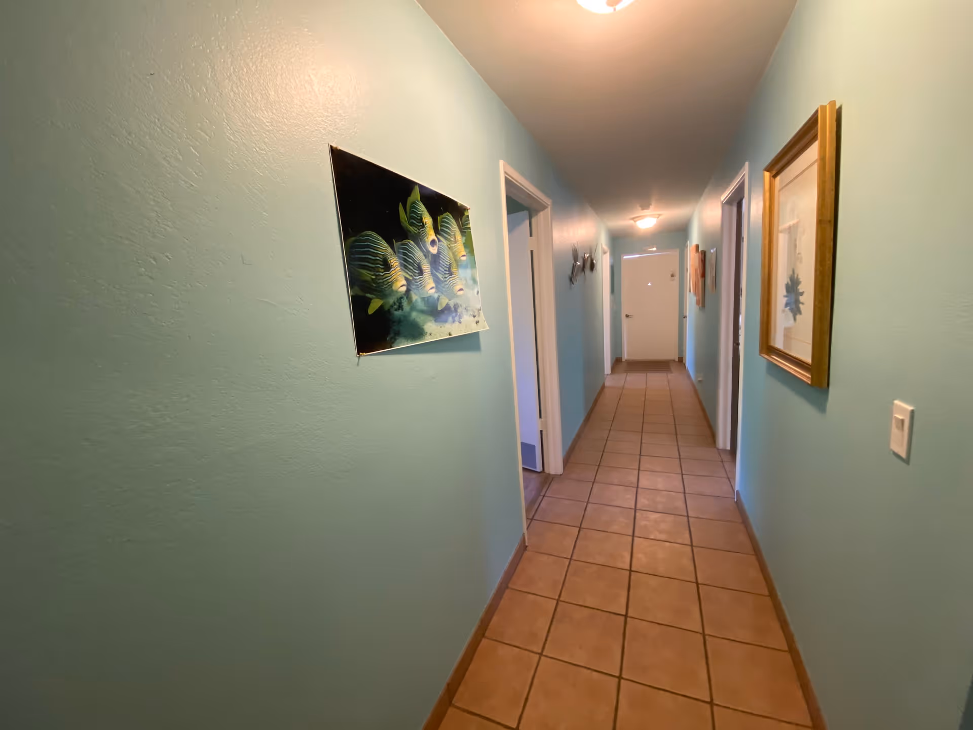 A long indoor hallway with light blue walls and brown tiled floor. There are several doorways along the hallway, a framed picture on the right wall, and a colorful fish-themed poster on the left wall. The hallway is lit by ceiling lights and ends at a closed white door.
