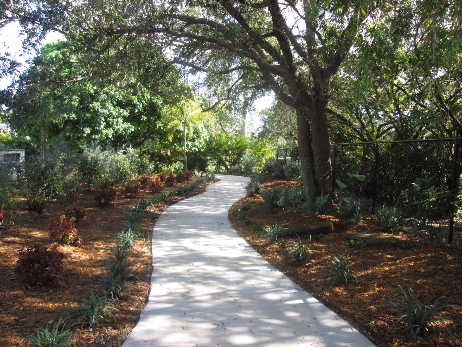 Curved concrete path winds through a shaded garden with trees and shrubs.
