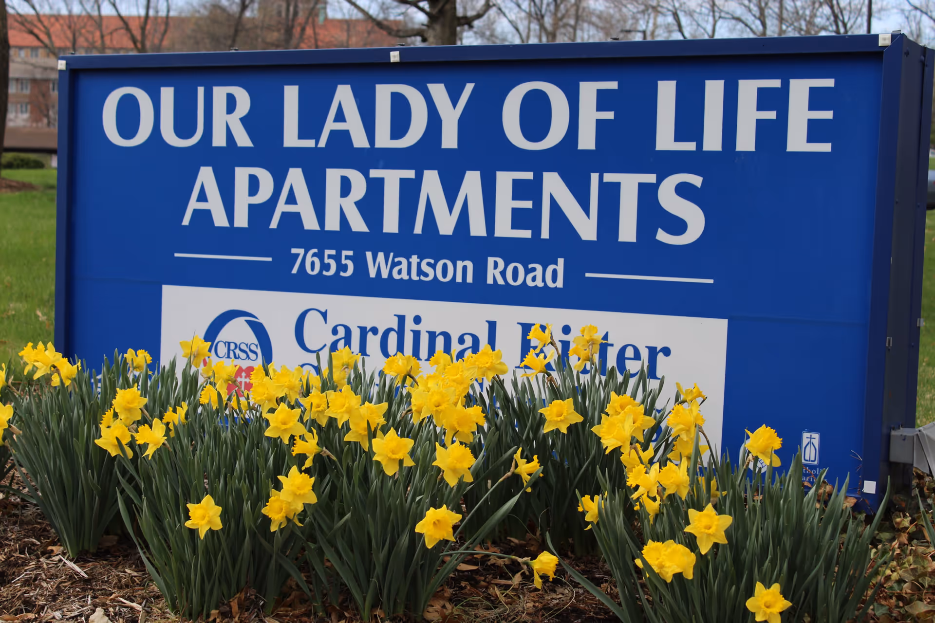 Blue sign reading "Our Lady of Life Apartments" with the address and yellow daffodils planted in front.