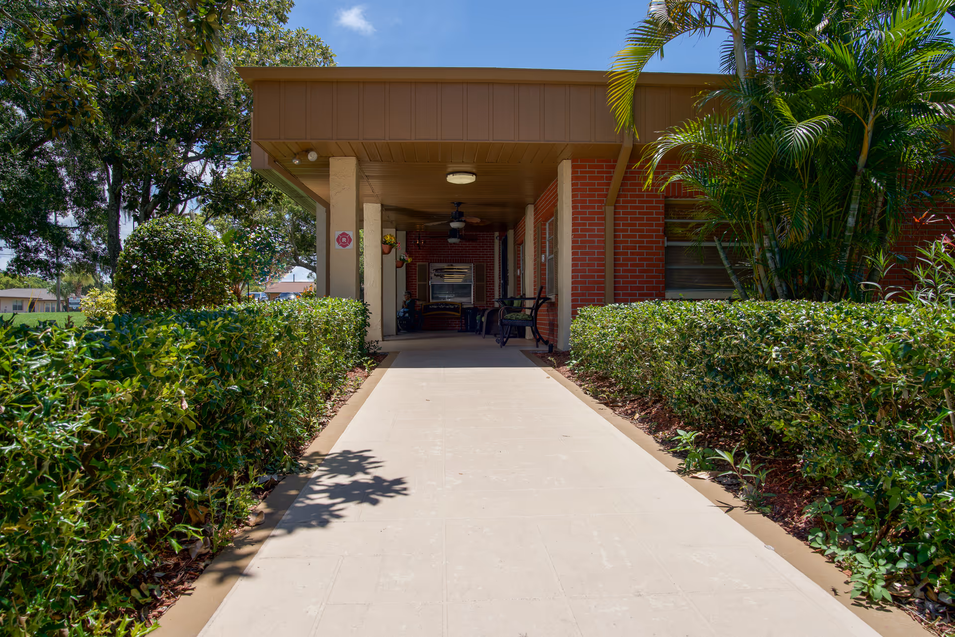 A covered outdoor walkway leading to a brick building entrance, flanked by neatly trimmed green hedges and tropical plants under a clear blue sky.