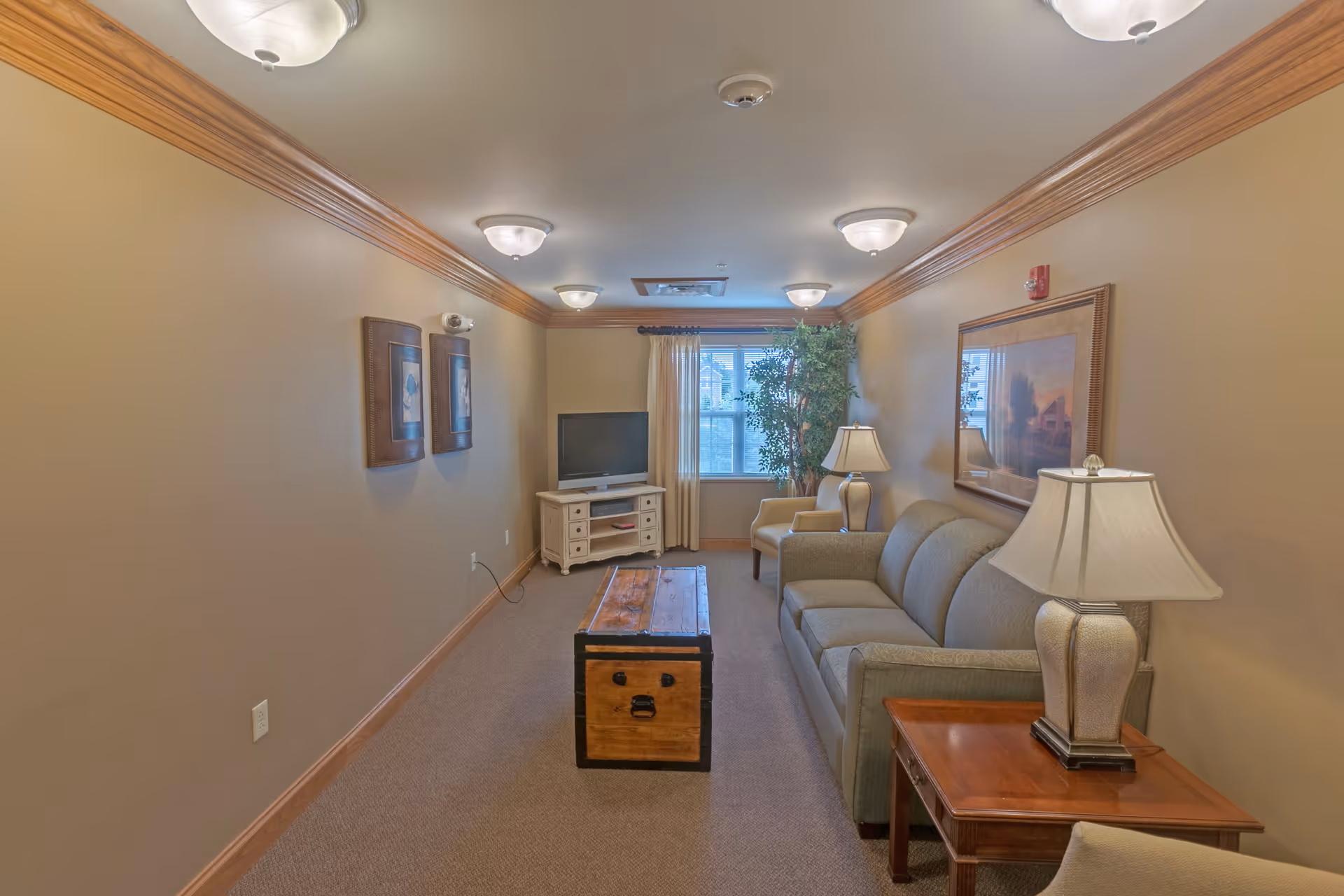 A cozy living room with beige walls and carpet, featuring a green upholstered sofa, a wooden coffee table, a side table with a lamp, an armchair, a TV on a white stand, two framed pictures on one wall, a large framed painting on the opposite wall, and a window with curtains and a tall potted plant beside it.