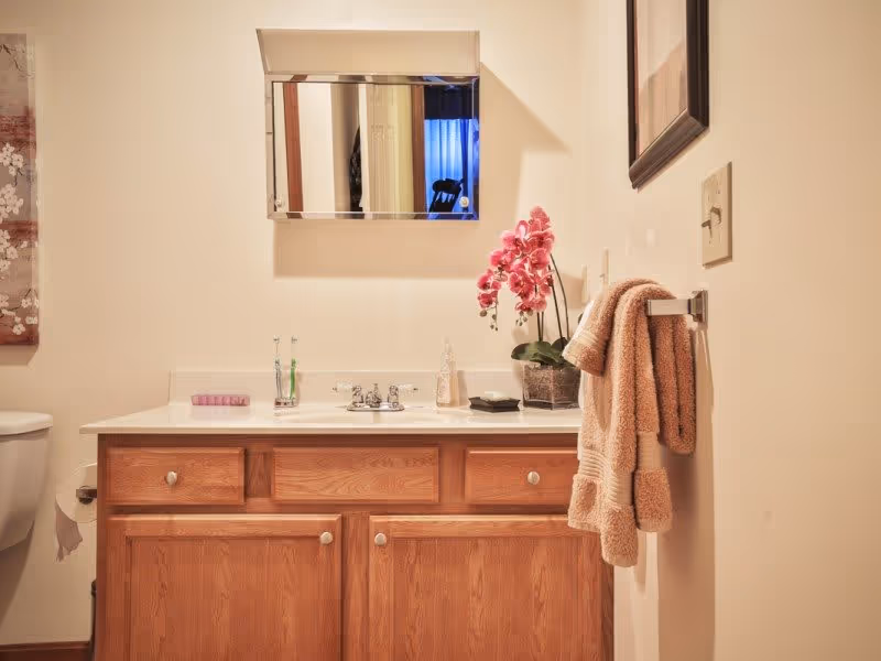 Bathroom vanity with wooden cabinets, sink and mirror, a pink orchid on the counter, and towels hanging on a wall rack.