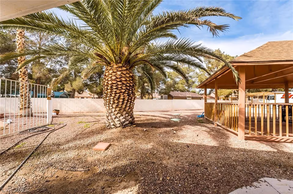 Outdoor area with a large palm tree in the center, a wooden gazebo structure on the right, and a gravel ground. There is a white fence on the left side and trees in the background under a clear blue sky.