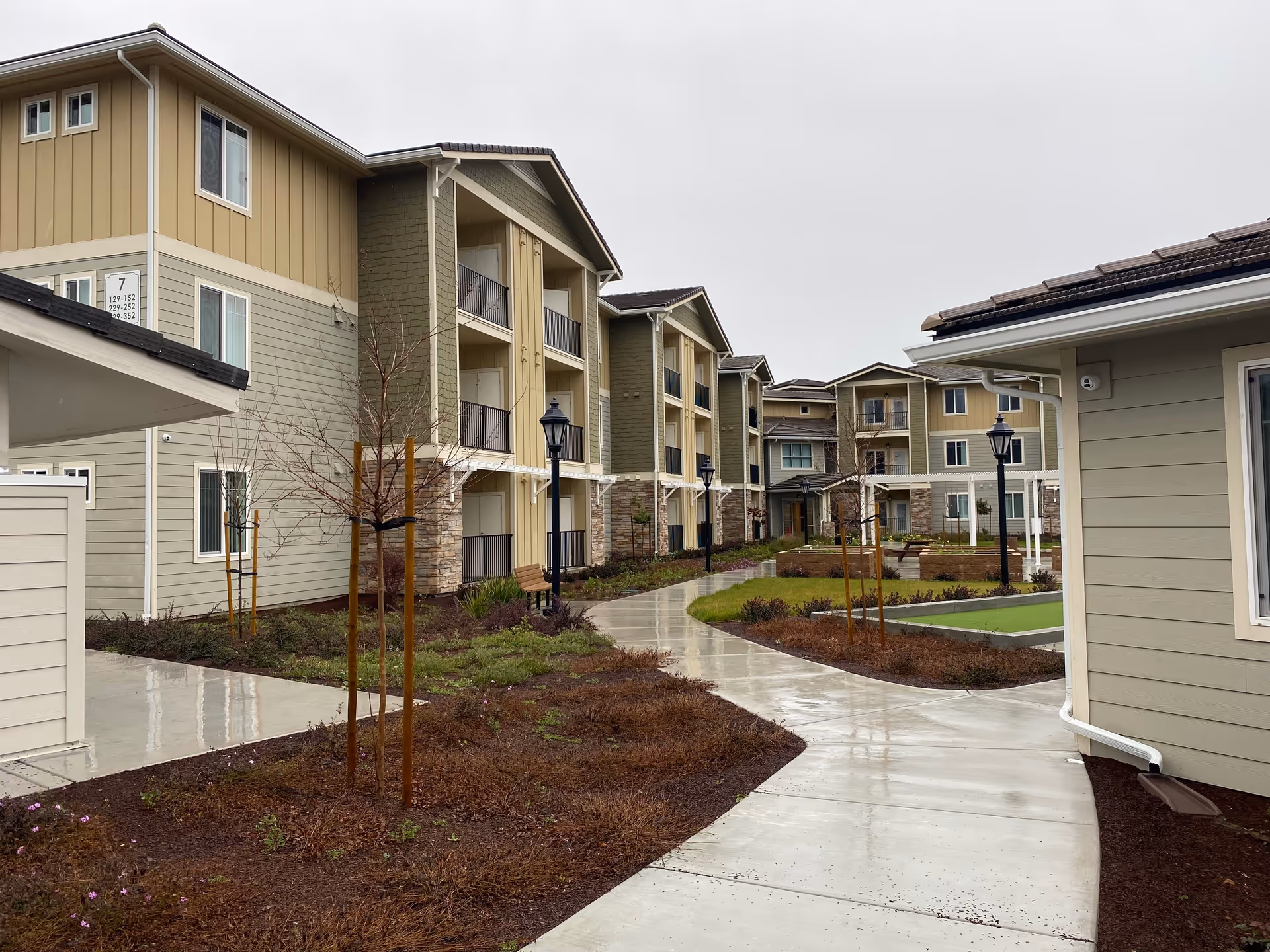 Outdoor view of Glen Loma Apartments featuring multi-story residential buildings with balconies, a wet concrete walkway, young trees supported by stakes, landscaped garden beds, and black lamp posts under an overcast sky.