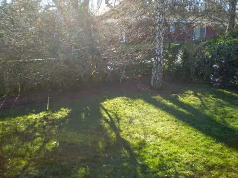 A sunlit outdoor garden area with green grass, trees casting long shadows, and a red building partially visible in the background.