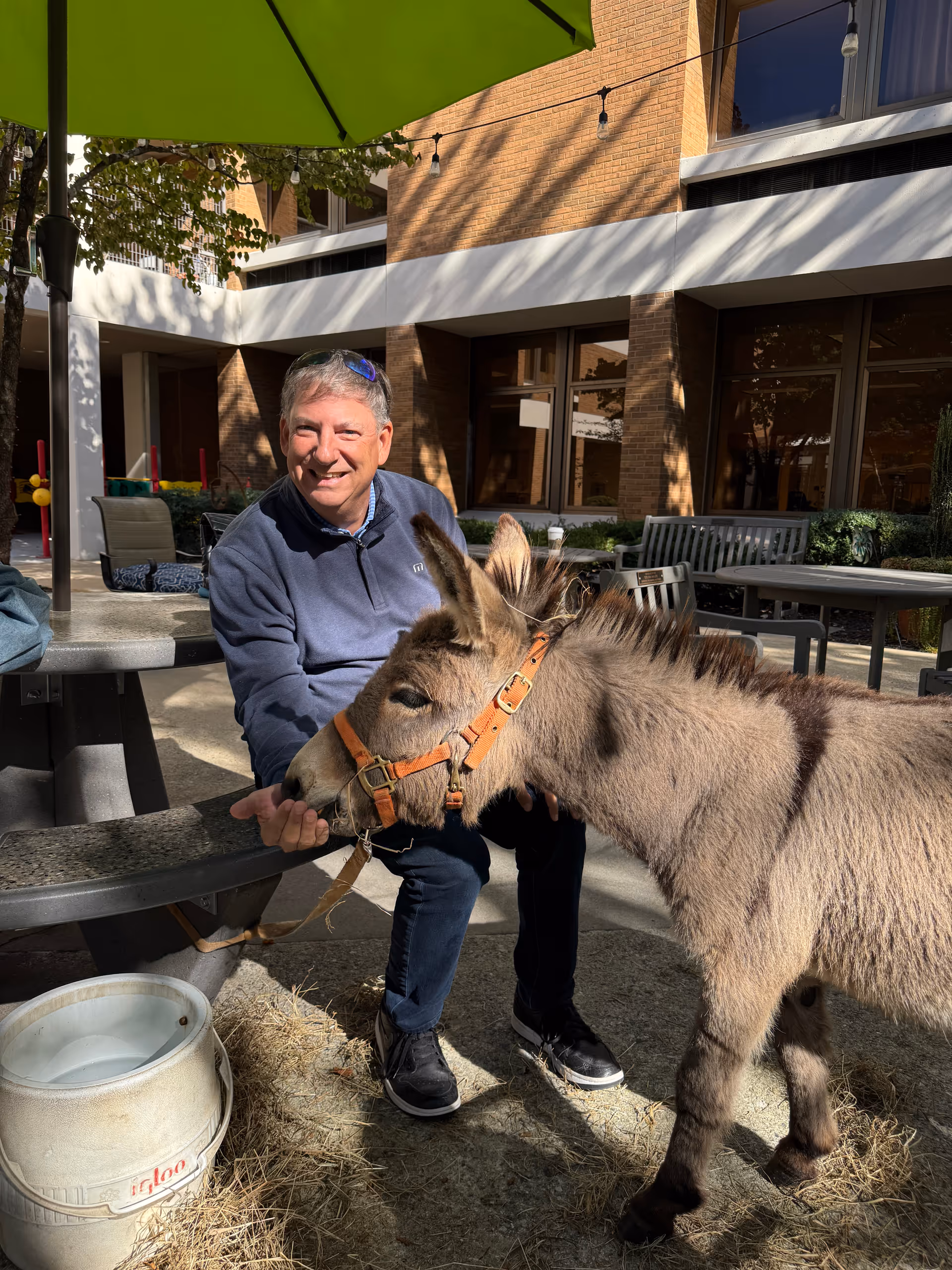 A man sitting outdoors at a picnic table under a green umbrella, smiling and feeding a small donkey wearing a harness. The setting appears to be a courtyard with brick buildings and outdoor furniture in the background.