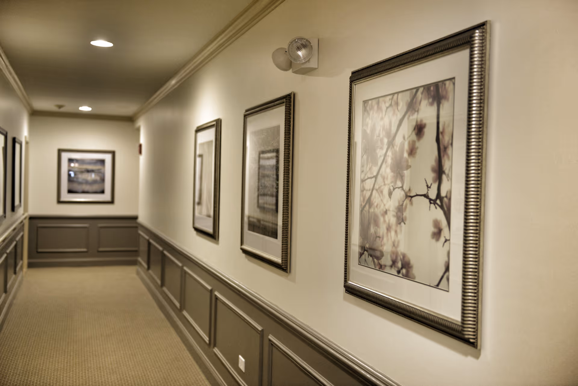 A well-lit hallway with beige walls and carpeted floor, decorated with framed floral and landscape artwork on the walls. The lower half of the walls is painted gray with decorative paneling.