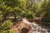 Shaded paved garden path lined with trees, bushes, a hanging fern, benches, and a metal fence.