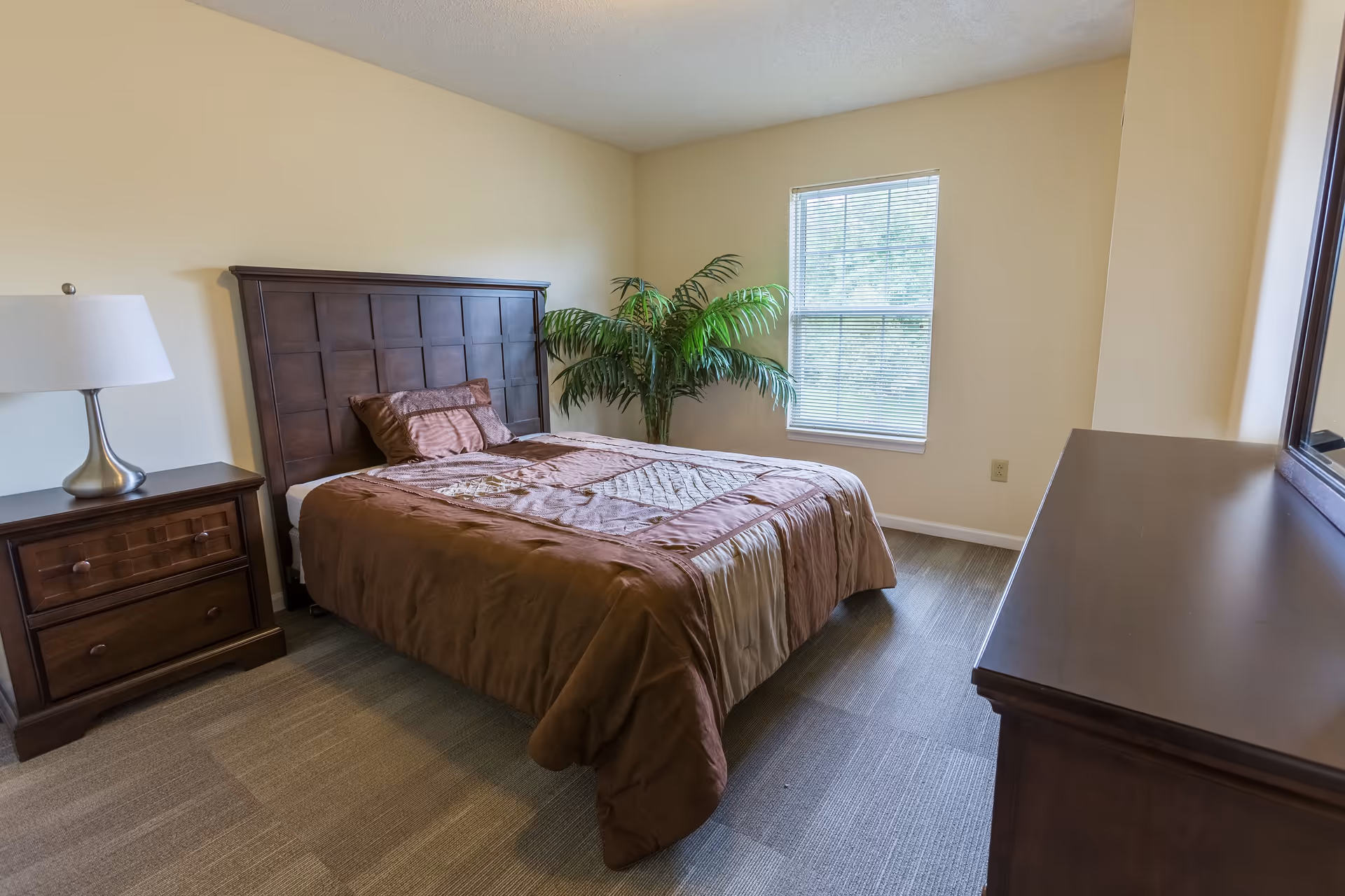 A bedroom with a wooden bed frame and headboard, a brown and beige bedspread, a matching wooden nightstand with a lamp, a large window with blinds, a green potted plant in the corner, and a wooden dresser with a mirror.