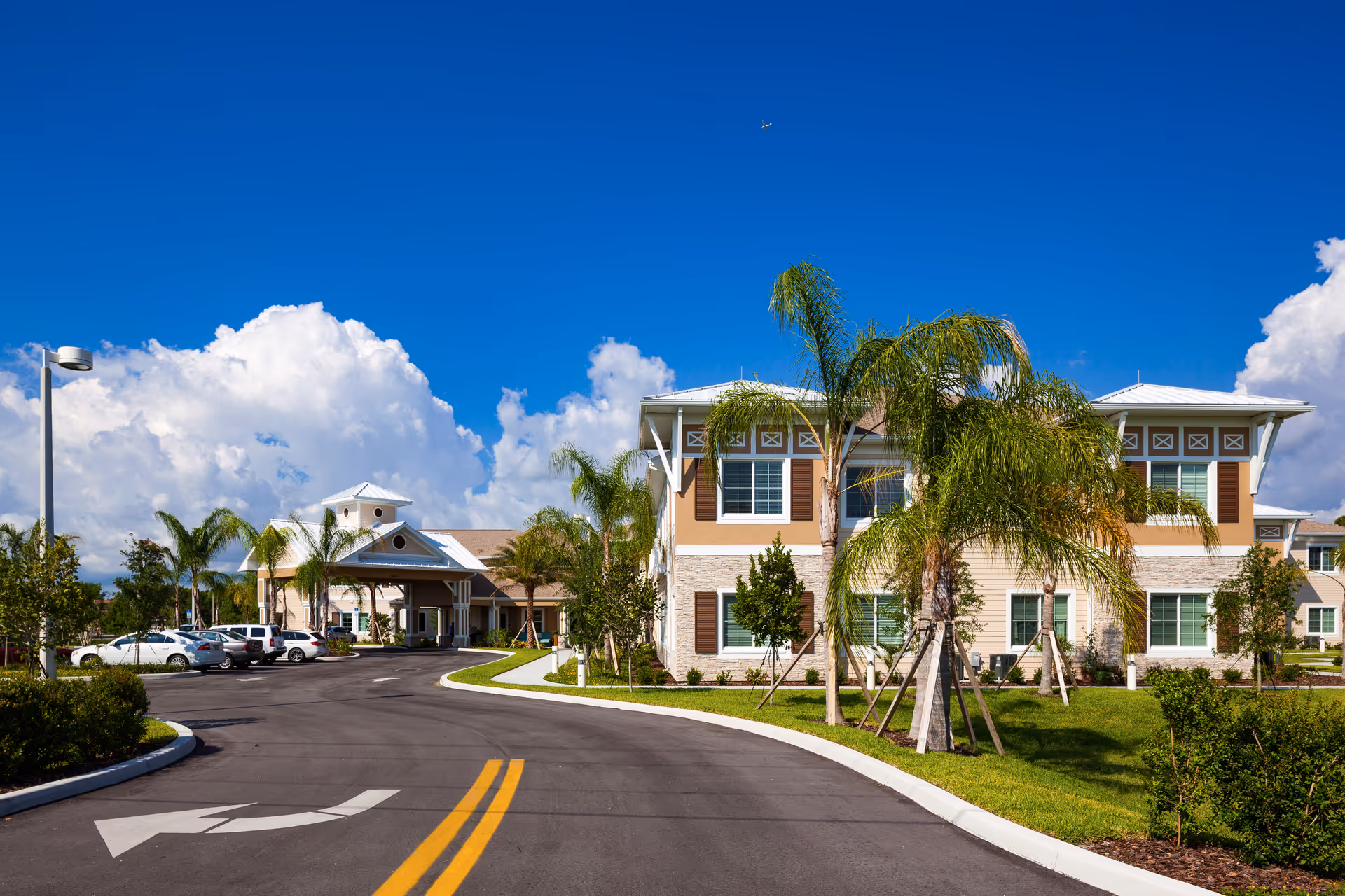 Exterior view of Pelican Landing Assisted Living & Memory Care facility with a clear blue sky, palm trees, a curved driveway, and parked cars near the entrance.