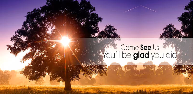 Sun shining brightly through the branches of a large tree in a field during sunrise or sunset, with other trees and a misty background. Text overlay reads: 'Come See Us. You'll be glad you did!'