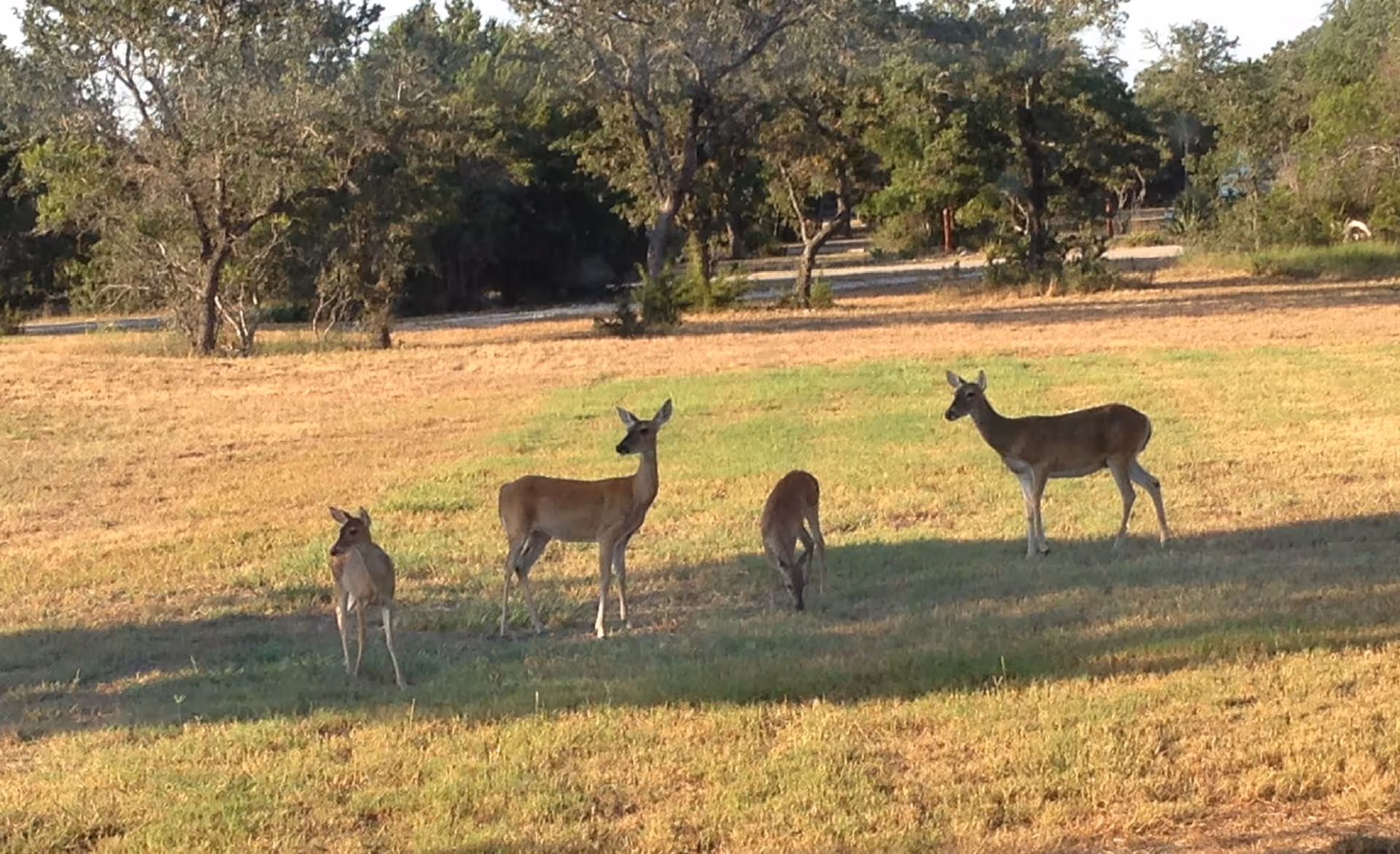 Photo 11 of Riva Ridge Assisted Living & Memory Care Center