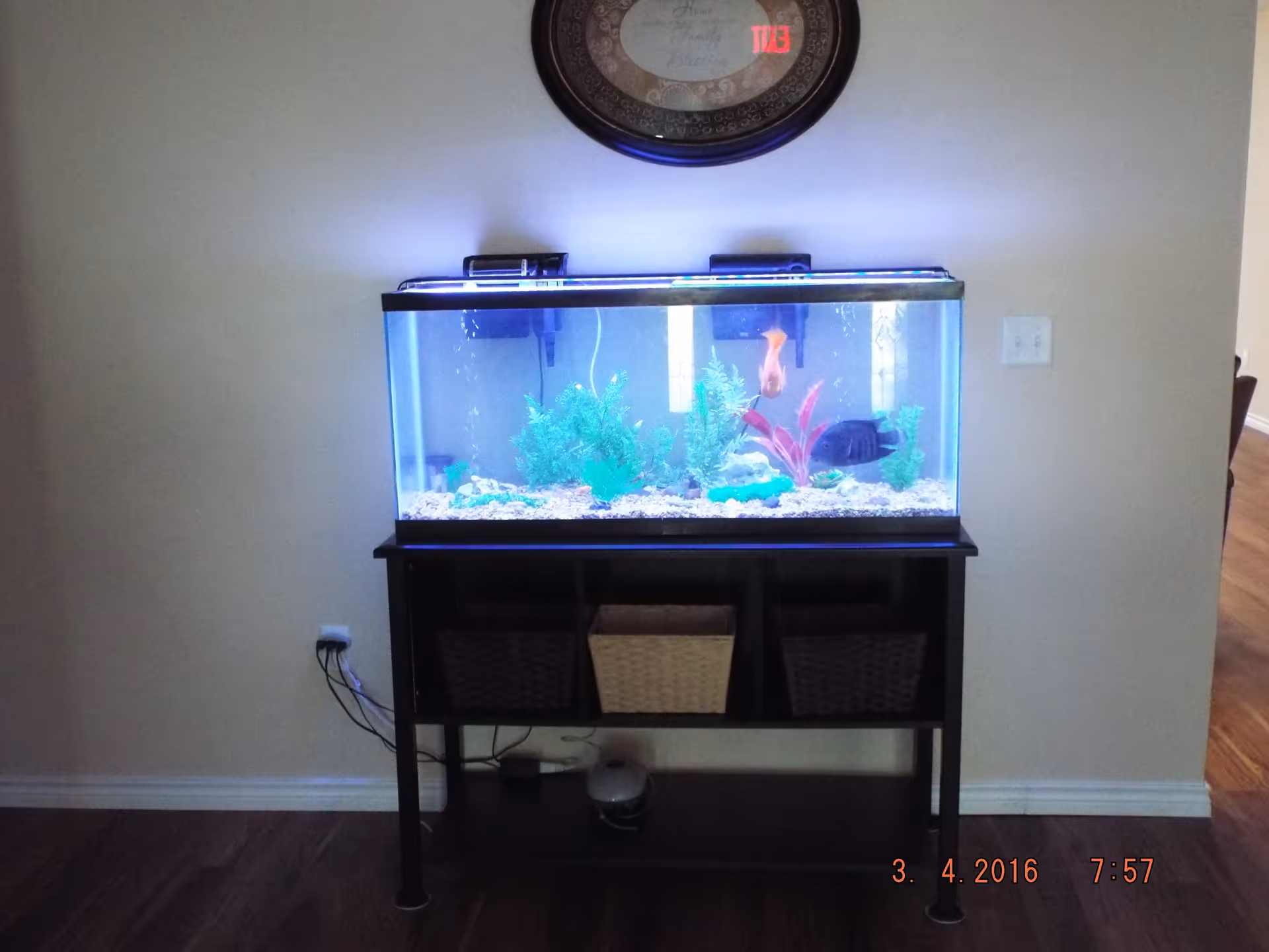 A lit fish tank with green and red aquatic plants and two fish, placed on a black stand with three baskets underneath, against a beige wall with a round decorative wall hanging above it.