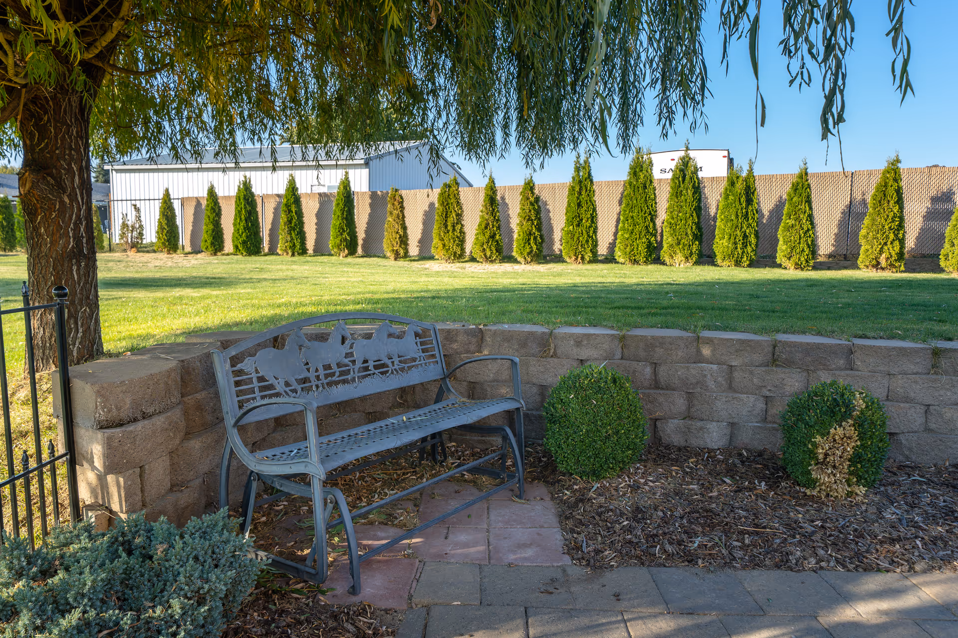 Metal bench under a tree beside a low stone retaining wall in a landscaped yard with shrubs, a grassy lawn, and a row of conifer trees and a building in the background.