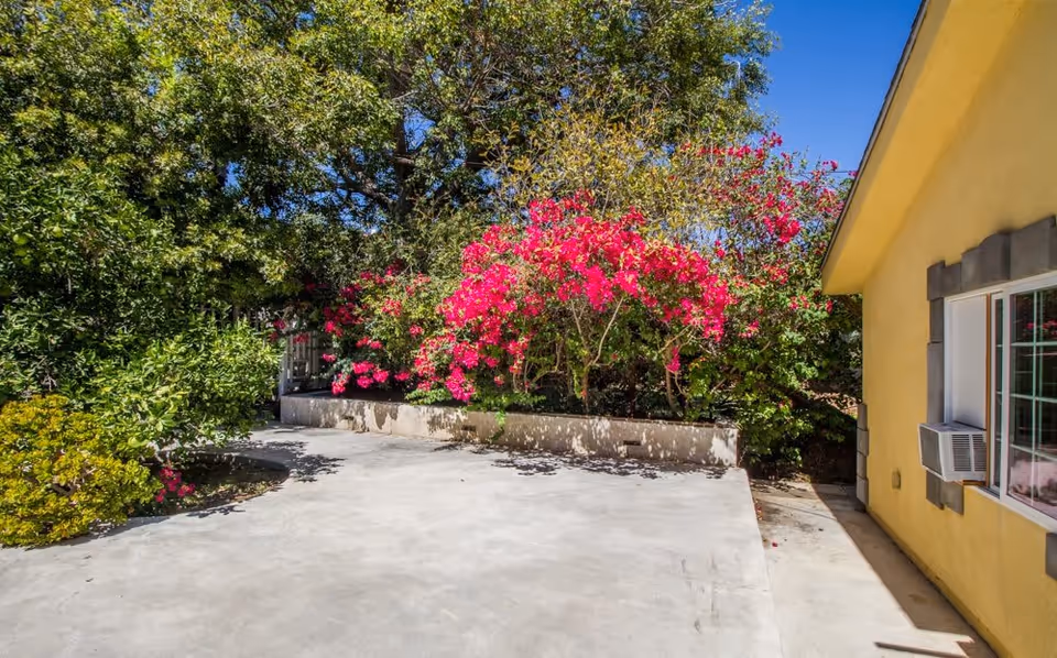 Outdoor patio area with concrete ground, surrounded by lush green trees and vibrant pink flowering bushes. A yellow building with a window and air conditioning unit is visible on the right side under a clear blue sky.