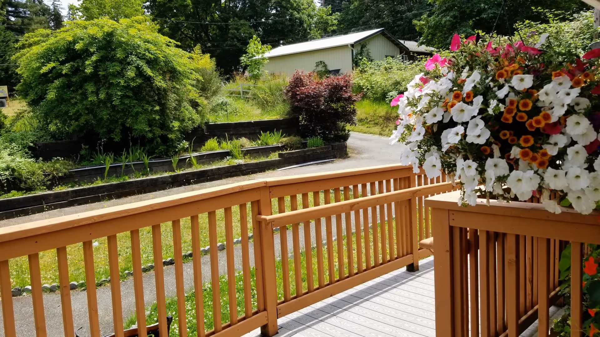 Wooden deck railing with a hanging basket of white and orange flowers overlooking a grassy yard and small outbuilding.