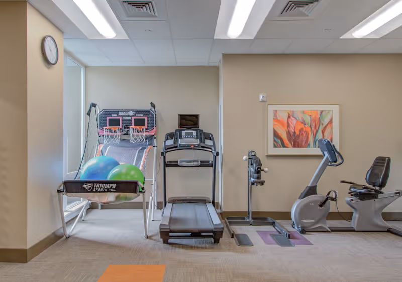 Small indoor fitness room with a treadmill, recumbent bike, exercise balls and a two-hoop arcade basketball game.