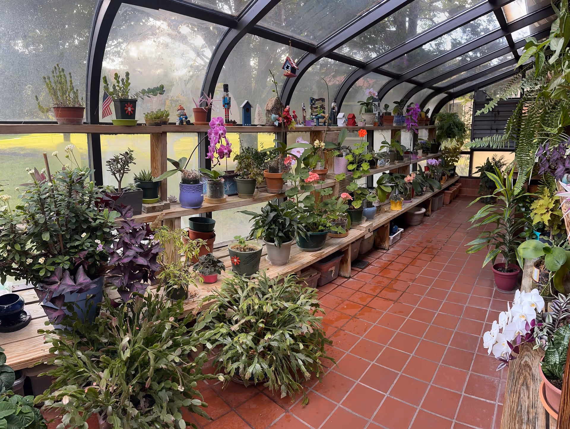 A sunroom or greenhouse area with a curved glass ceiling and walls, filled with various potted plants and flowers arranged on wooden shelves and the floor. The floor is covered with reddish-brown tiles, and the space is bright with natural light coming through the glass.