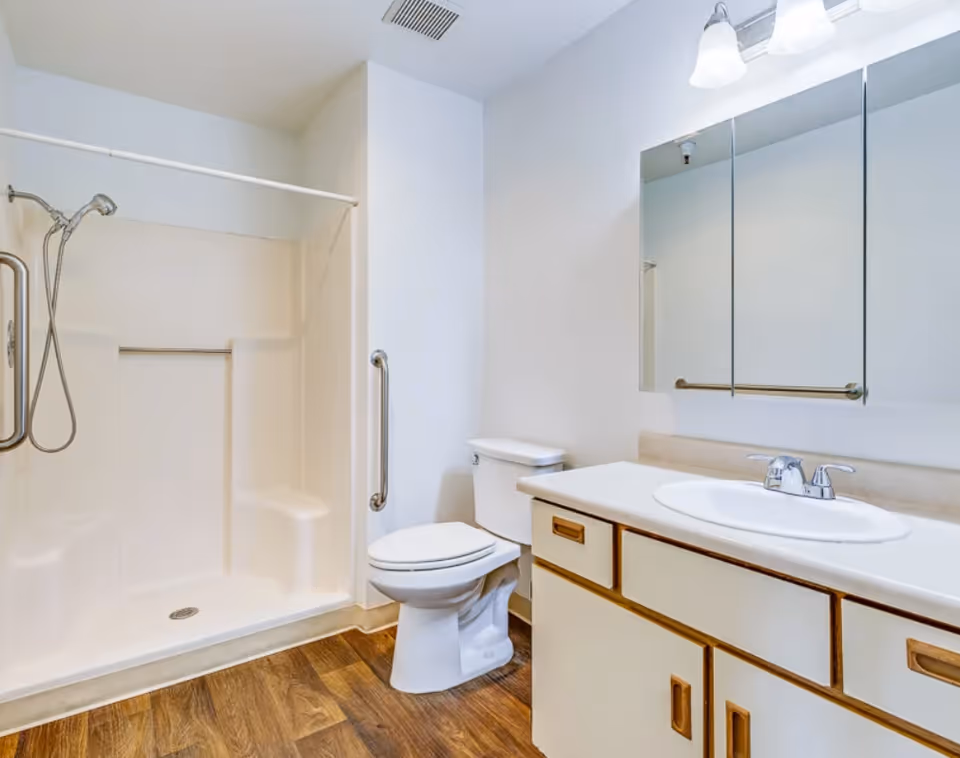 Bright accessible bathroom with a walk-in shower and handheld showerhead, grab bars, toilet, and sink vanity with mirror.