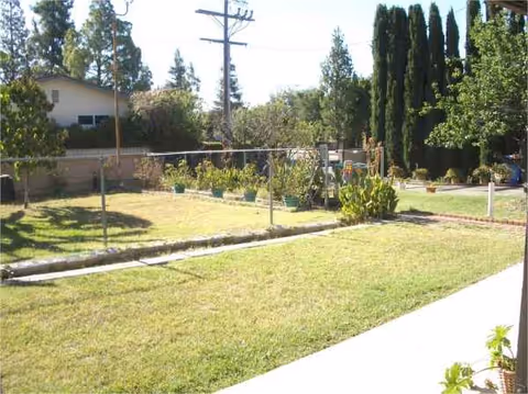 Sunny outdoor yard of a senior living facility with lawn, walkway, and potted plants