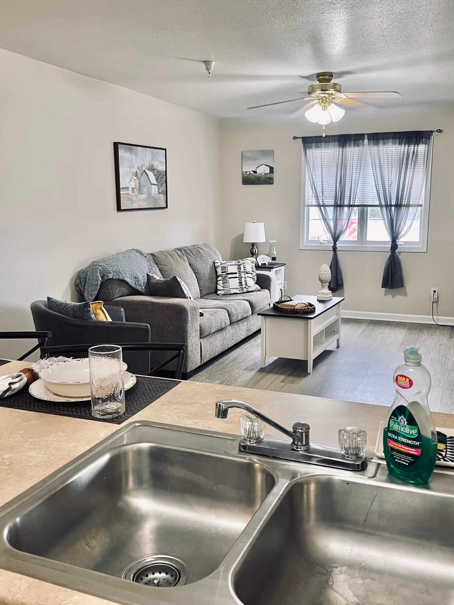 View from a kitchen sink area looking into a living room with a gray couch, armchair, coffee table, side table with a lamp, and two paintings on the wall. A window with sheer curtains lets in natural light.