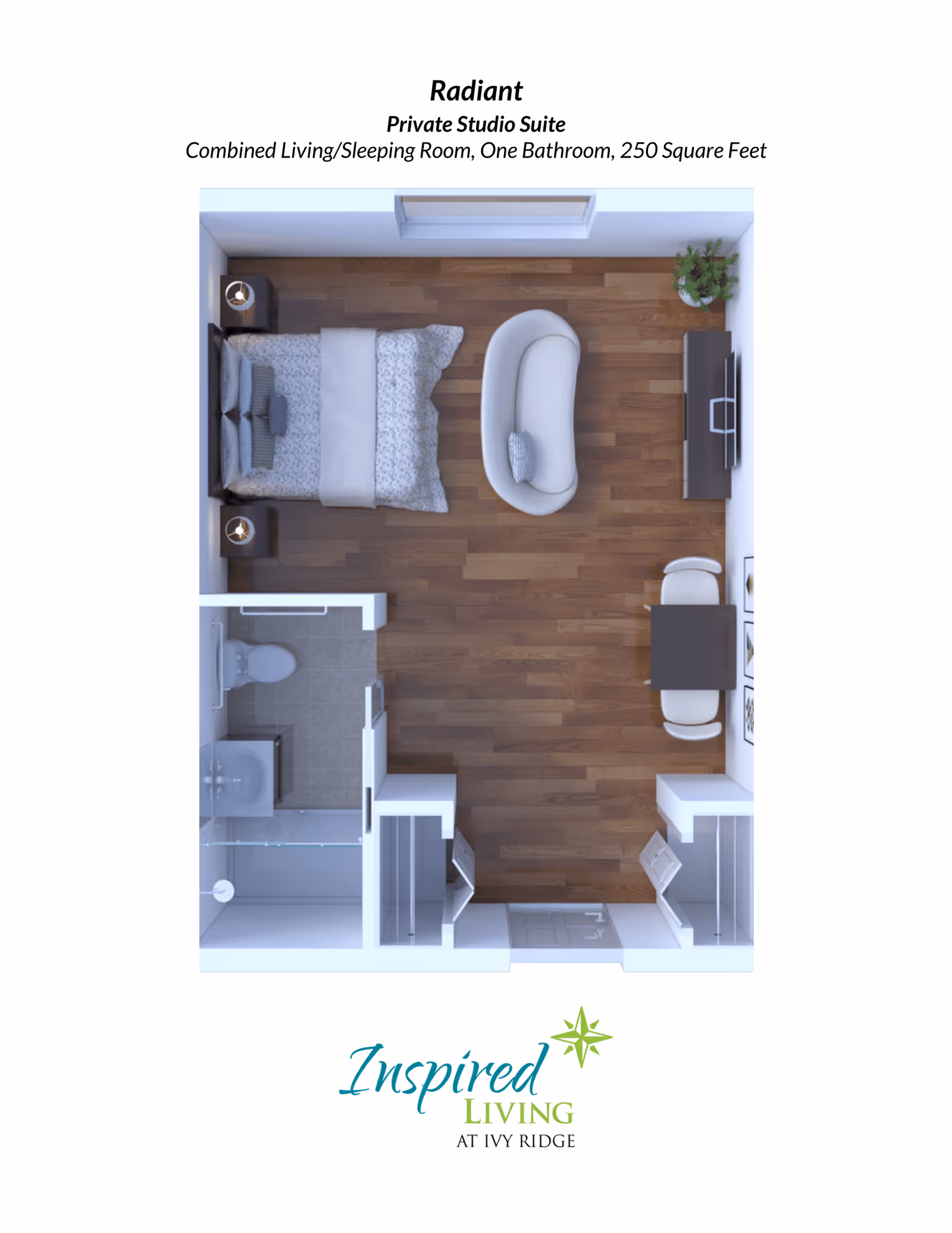 Top-down floor plan of a private studio suite named Radiant at Inspired Living at Ivy Ridge, showing a combined living and sleeping area with a bed, two nightstands, a small sofa, a TV stand with a TV, a small dining table with two chairs, and an adjacent bathroom with a toilet, sink, and shower. The suite measures 250 square feet.