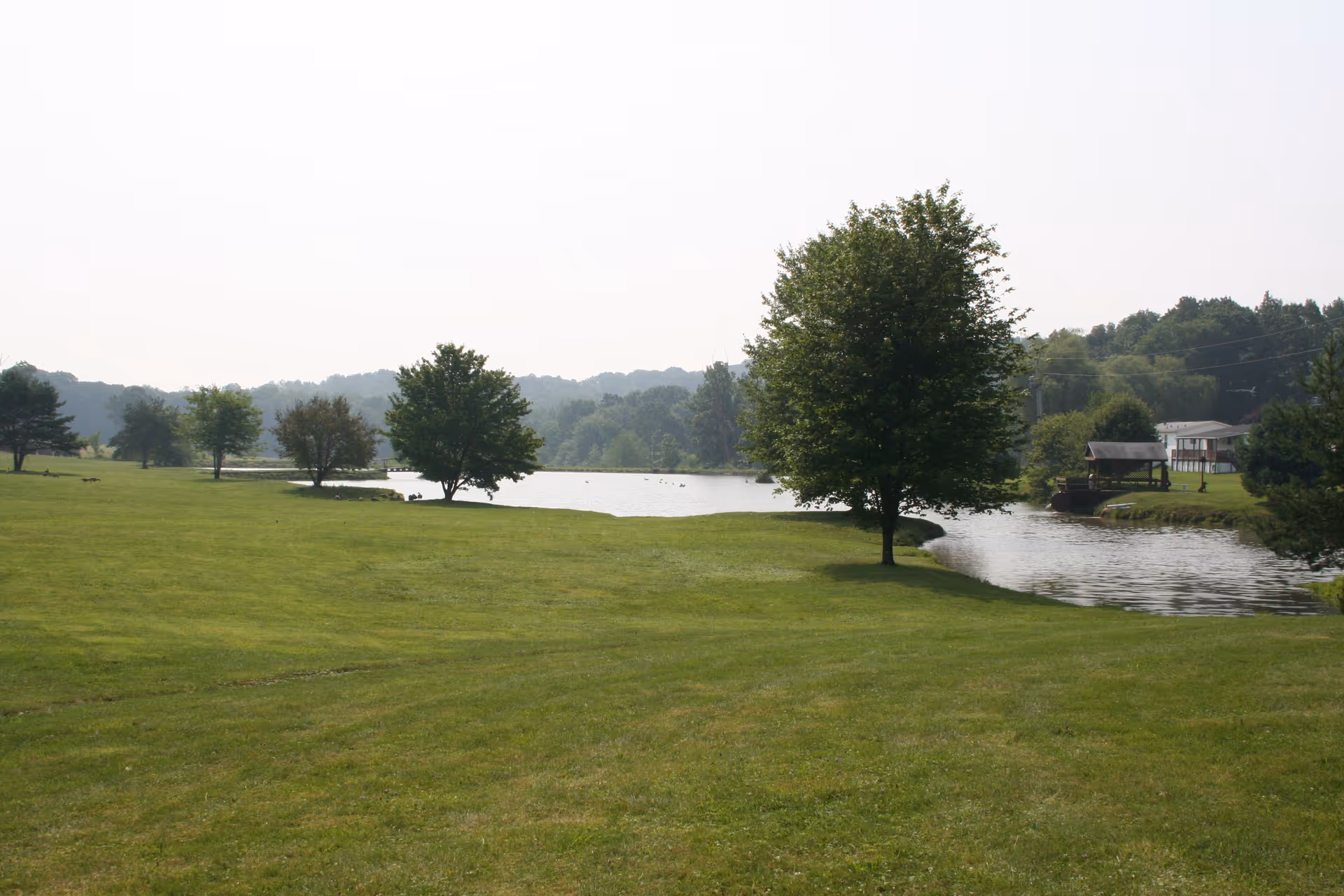 A scenic outdoor view of a grassy area with several trees near a calm body of water, with a house and a small dock visible in the background under a bright sky.