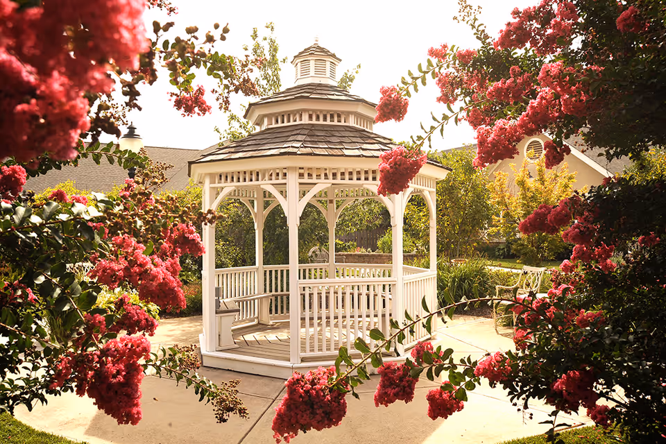 A white wooden gazebo surrounded by vibrant pink flowering bushes in a garden area with a paved walkway and benches, under a bright sky.
