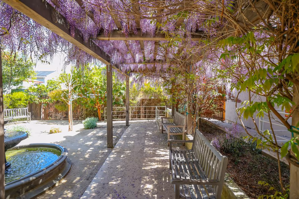 Outdoor garden area with a wooden pergola covered in blooming purple wisteria flowers. There are wooden benches along the pathway under the pergola and a circular water fountain on the left side. Green shrubs and trees surround the area, creating a peaceful and shaded space.