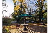 Outdoor patio area with round tables, each shaded by a green umbrella. There are chairs around the tables and a white bench along the fence. Trees with autumn foliage surround the space, casting shadows on the ground.