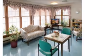 A bright living room area with large windows covered by lace curtains. The room contains a floral-patterned loveseat, two green chairs around a small table with a newspaper and a cup, a television on a stand, and several potted plants. The walls have light-colored wallpaper and there is a clock on the wall.