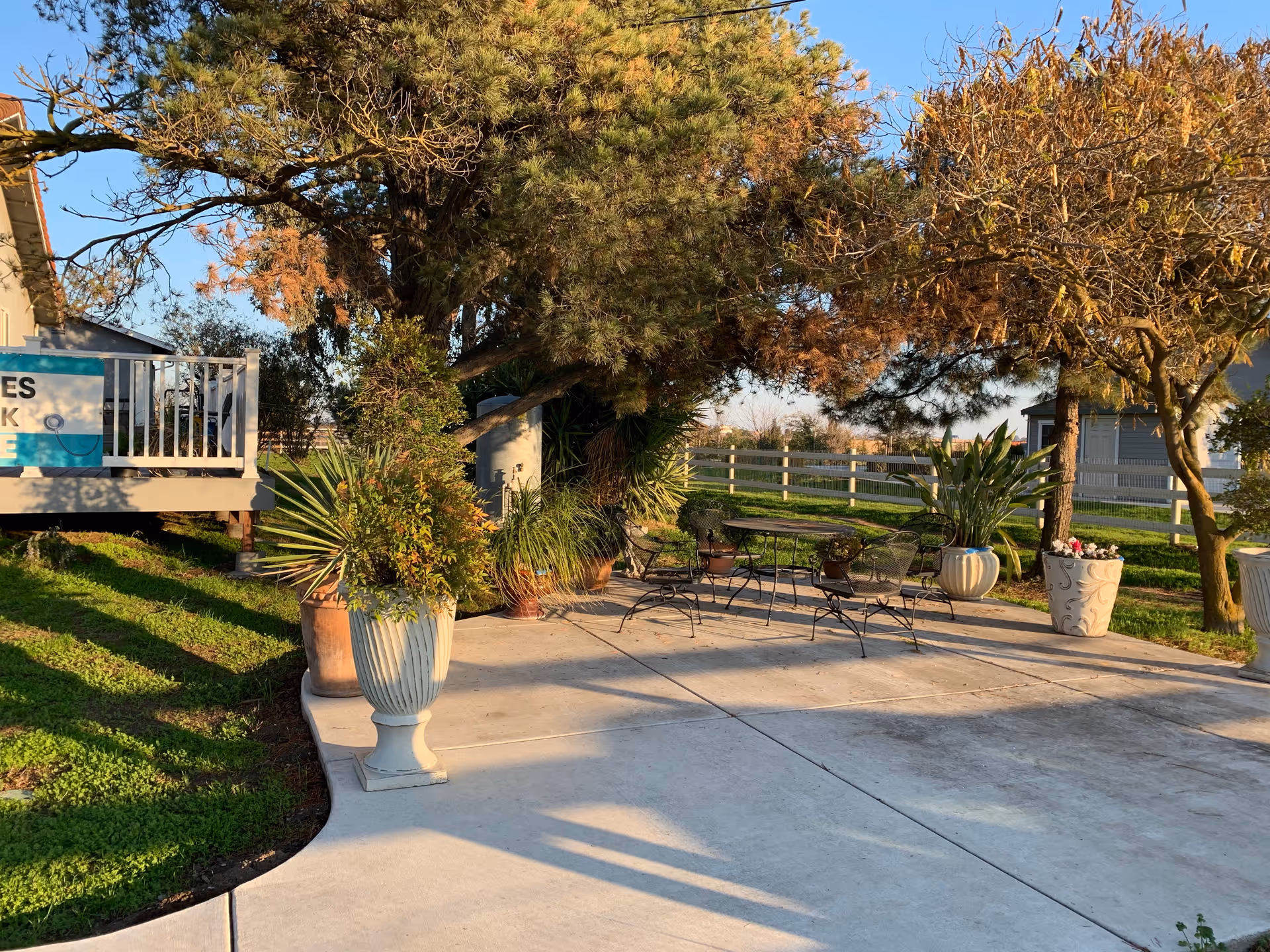 Sunlit outdoor patio with a metal table and chairs, large potted plants, trees, and a white fence in the background.