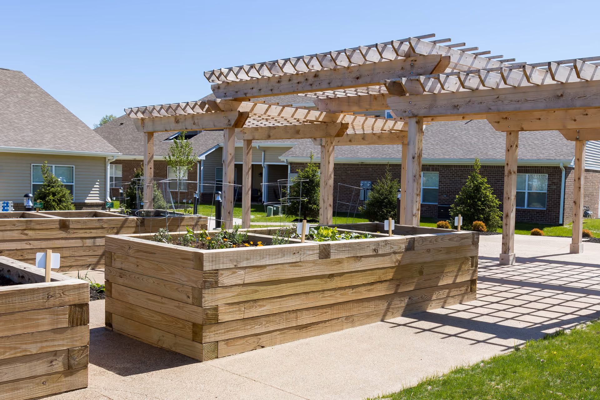 Raised wooden garden beds under a wooden pergola in an outdoor courtyard with residential buildings in the background.
