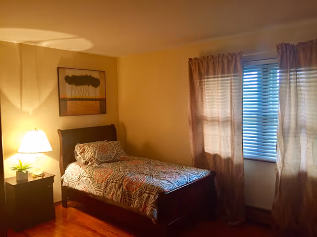 A cozy bedroom with a single bed featuring a patterned bedspread and pillow. A nightstand with a lamp and a small plant is beside the bed. There is a window with blinds and sheer curtains allowing some light into the room. A framed artwork of trees hangs on the wall above the bed.