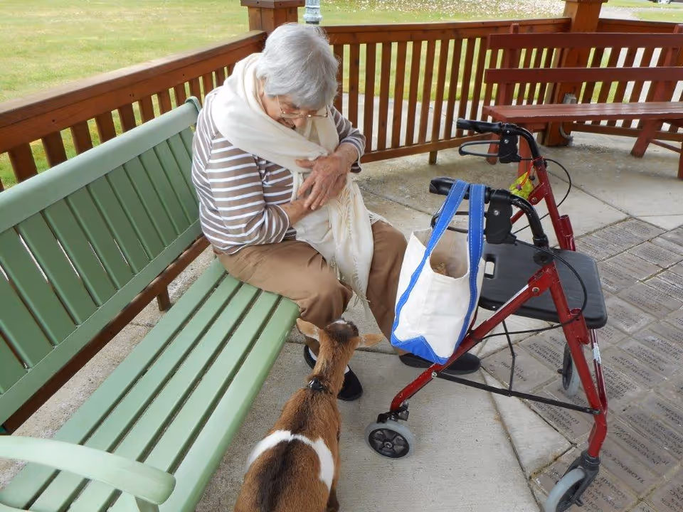 An elderly woman with gray hair, wearing glasses, a striped shirt, and a white scarf, sits on a green bench under a wooden shelter. She is interacting with a small brown and white goat standing near her. A red walker with a blue and white tote bag hanging from it is positioned nearby on the concrete floor.
