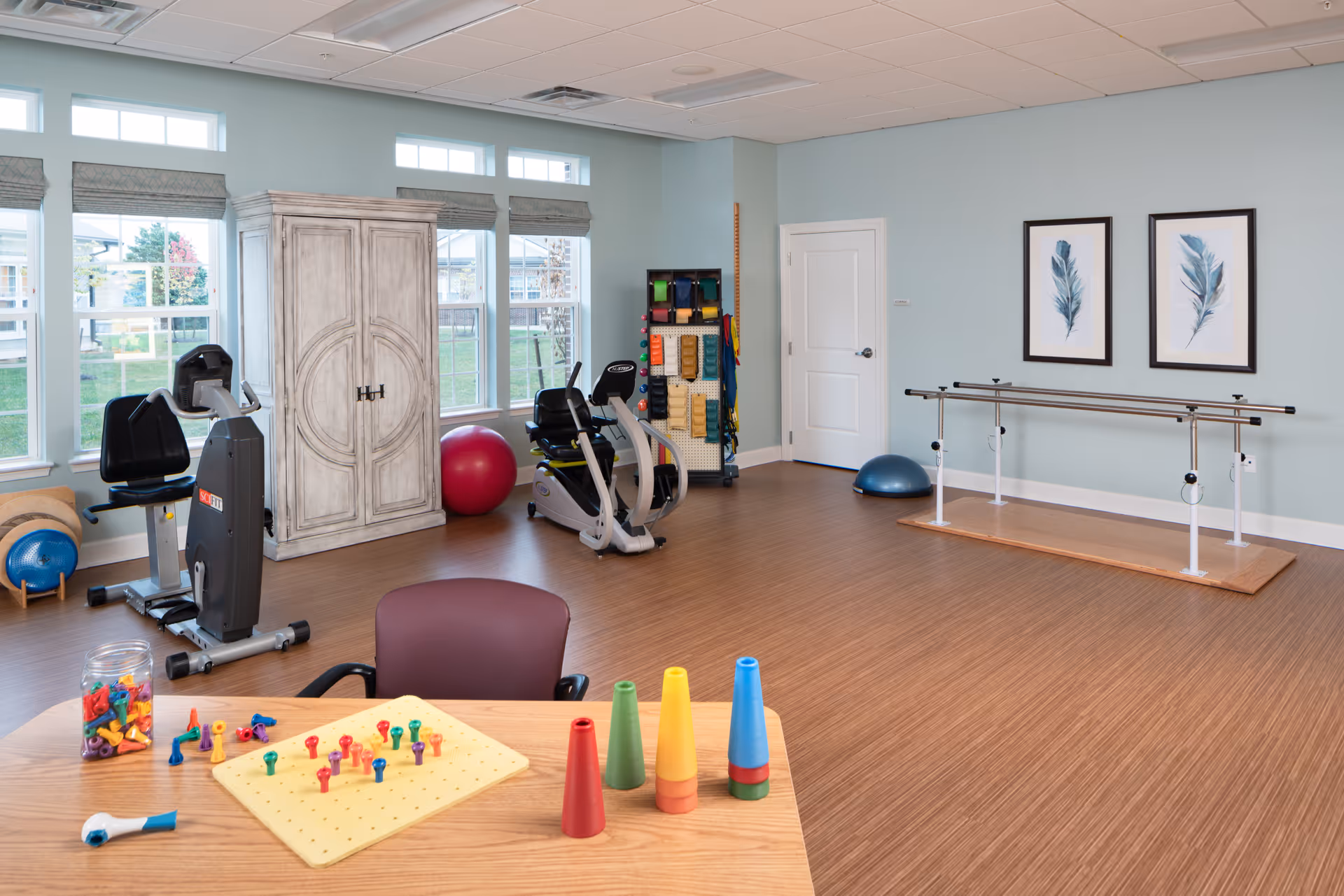 A bright therapy room with exercise equipment including two recumbent bikes, a pink exercise ball, a blue balance ball, and parallel bars along one wall. There is a wooden cabinet, a rack with various therapy tools, and a table in the foreground with colorful therapy pegs and cones. The room has large windows with natural light and two framed leaf prints on the wall.