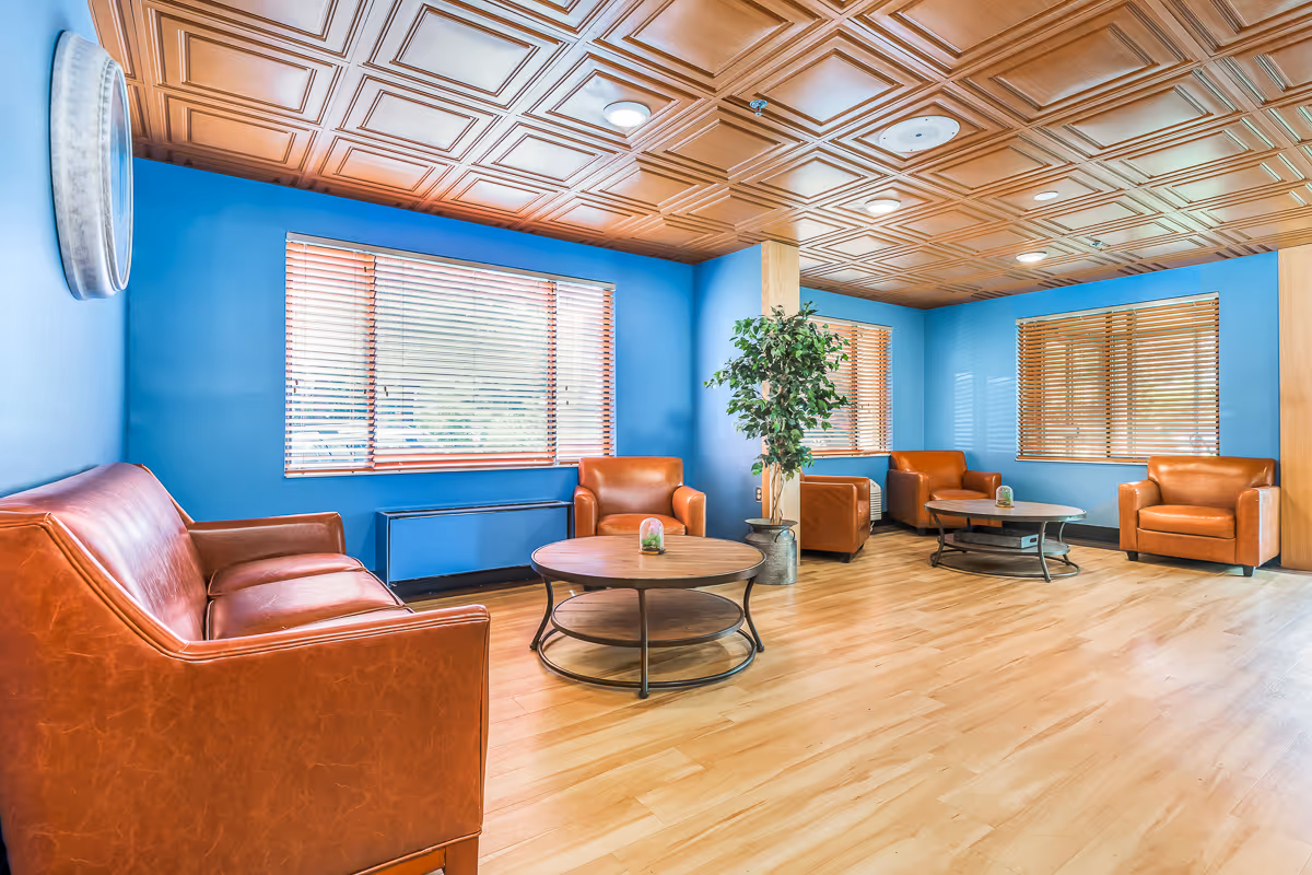 A bright and spacious living room with blue walls and a wooden coffered ceiling. The room features four brown leather armchairs and one brown leather sofa arranged around two round wooden coffee tables. There are large windows with wooden blinds letting in natural light, and a potted plant is placed near the center of the room. The floor is light wood.