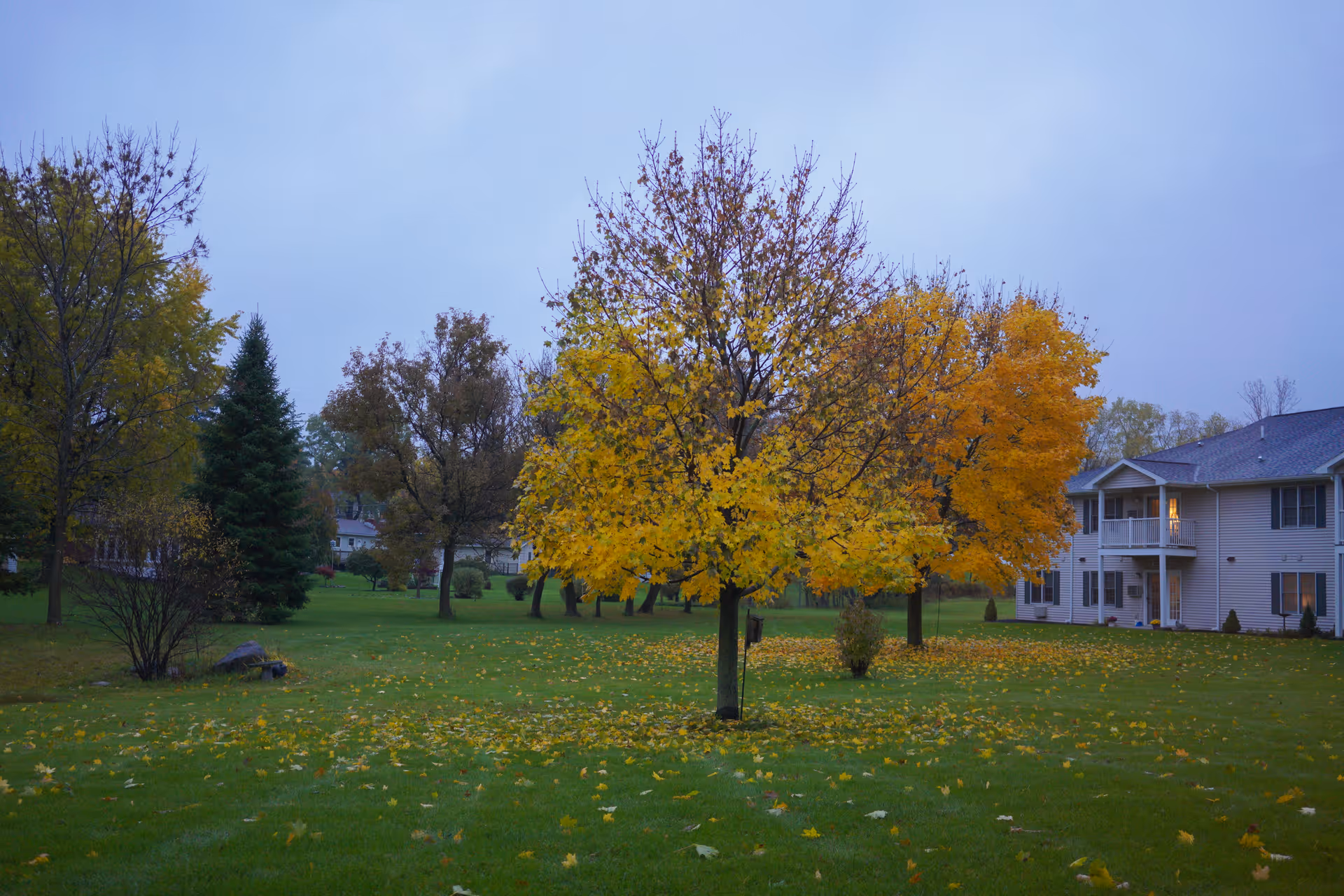 A grassy outdoor area with several trees showing autumn foliage in shades of yellow and orange, with a two-story residential building in the background under a cloudy sky.