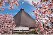 A steep, triangular-roofed building is framed by pink blossoming trees under a blue sky.