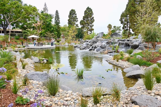 A serene outdoor garden area featuring a large pond with clear water, surrounded by rocks, plants, and flowers. There is a small waterfall cascading over rocks into the pond. In the background, tall trees and greenery create a peaceful natural setting. A patio area with tables, chairs, and umbrellas is visible on the left side with a few people standing nearby.