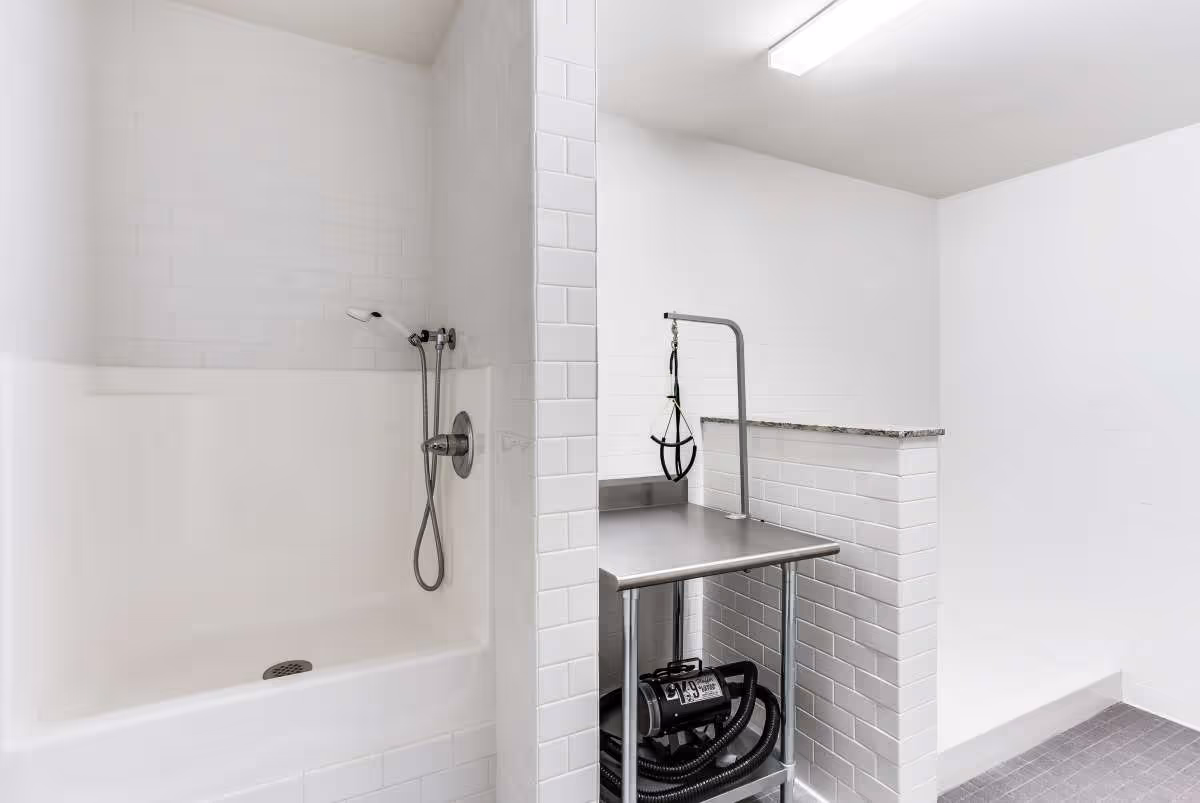 A clean, white tiled bathing area with a built-in shower and a stainless steel grooming or bathing table equipped with a harness and a blower underneath, likely used for assisted bathing or grooming in a senior living facility.
