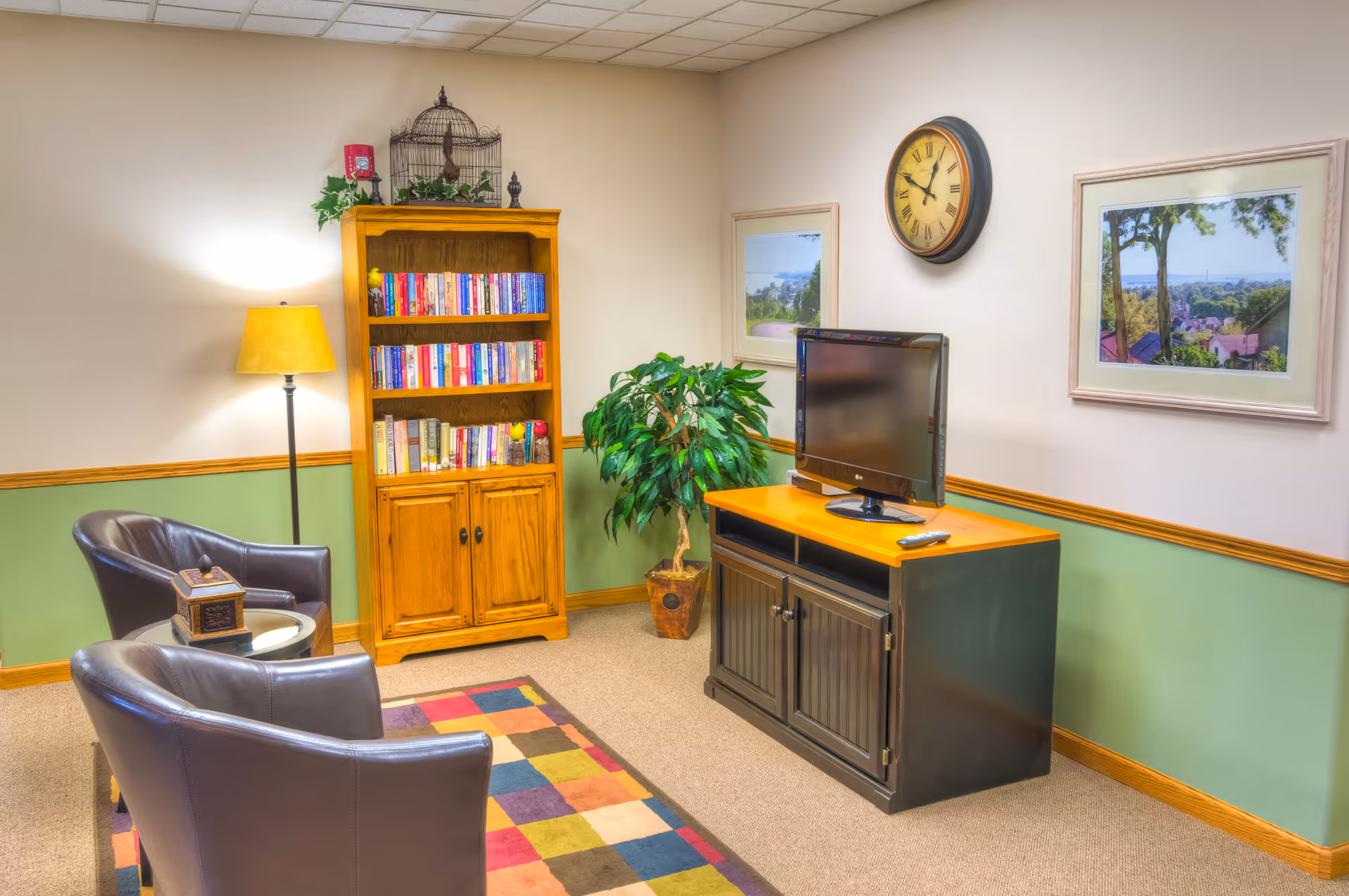Small sitting room with two leather chairs, a bookshelf, a TV on a cabinet, a floor lamp, a potted plant and a colorful area rug.
